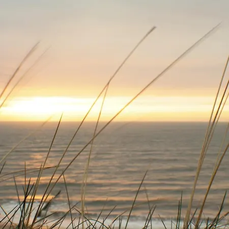 Abaluga 6a דירה Wenningstedt-Braderup