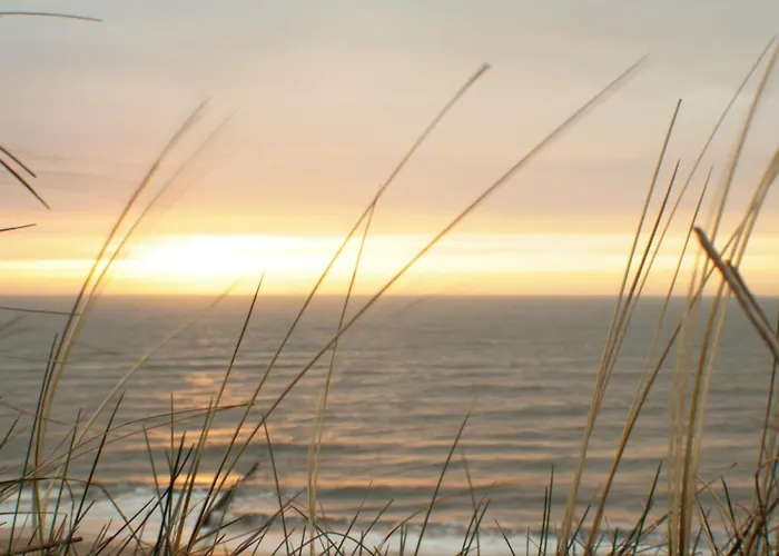 Abaluga 6a דירה Wenningstedt-Braderup